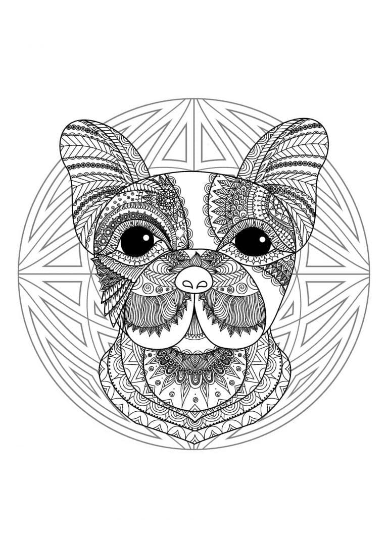 Mandalas Animaux 19